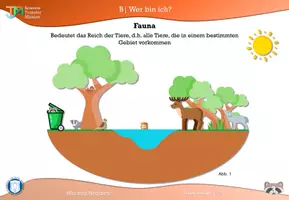 Vorschau - Stundenentwürfe - Grundlage Neozoen und invasive Arten - Seite 3