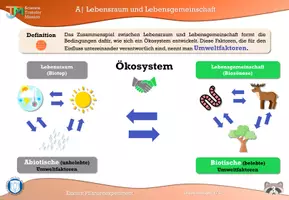 Vorschau - Stundenentwürfe - Pflanzenwachstum unter verschiedenen Umwelteinflüssen - Seite 3