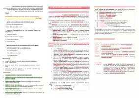 Vista previa - Unidades / Secuencias / Situaciones de Aprendizaje - Oposiciones Pedagogía Terapéutica: Pack esquemas temas NEE - página 1