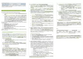 Vista previa - Unidades / Secuencias / Situaciones de Aprendizaje - Oposiciones Pedagogía Terapéutica: Pack esquemas temas NEE - página 3