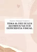 Vista previa - Unidades / Secuencias / Situaciones de Aprendizaje - Oposiciones Pedagogía Terapéutica: Pack esquemas temas NEE - Portada