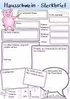 Aperçu - Apprentissages en autonomie - Schwein Steckbrief deutsch Unterrichtsmaterial (bilingualer) Unterricht Deutsch / Biologie / Sachunterricht DAZ (Lieblingstier vorstellen) - Page 1