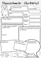Aperçu - Apprentissages en autonomie - Schwein Steckbrief deutsch Unterrichtsmaterial (bilingualer) Unterricht Deutsch / Biologie / Sachunterricht DAZ (Lieblingstier vorstellen) - Page 2