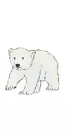 Vorschau - selbst erstellte Cliparts/Grafiken - Klassentier Eisbär: Cliparts zur kommerziellen Nutzung - Seite 1