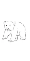 Vorschau - selbst erstellte Cliparts/Grafiken - Klassentier Eisbär: Cliparts zur kommerziellen Nutzung - Seite 2