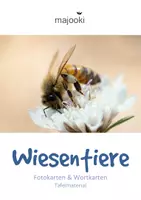 Vorschau - Fördermaterial/Inklusion - Wiesentiere Tafelmaterial - Tiere der Wiese Klasse 2 - Die Wiese DaZ - Deckblatt