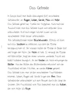 Vorschau - Arbeitsblätter - Getreidearten Einführungsgeschichte und Arbeitsmaterial - Seite 3