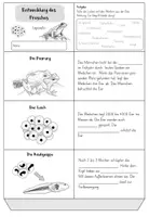 Vorschau - Mal- und Bastelvorlagen - Entwicklung Frosch - Leporello - Seite 3