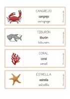 Vista previa - Unidades / Secuencias / Situaciones de Aprendizaje - Vocabulario - mar - CAST - página 1