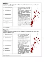 Vorschau - Unterrichtsreihen - Wachsendes Gesamtpaket Musik - Seite 2