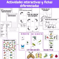 Vista previa - Unidades / Secuencias / Situaciones de Aprendizaje - Todo sobre los insectos - página 1