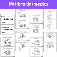 Vista previa - Unidades / Secuencias / Situaciones de Aprendizaje - Todo sobre los insectos - página 2
