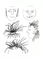 Vorschau - Anderer Materialtyp - Rasta-Frisuren - Seite 3