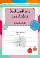 Vorschau - Arbeitsblätter - Der Apfel - Arbeitsblätter und Bildkarten - Seite 3