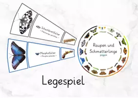 Vorschau - Stationenlernen - Legekreis Schmetterling Forscher Set - Deckblatt