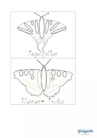 Vorschau - Stundenentwürfe - Schmetterling Vorlage Knete, Schrift üben, Legeform - Seite 2