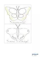 Vorschau - Stundenentwürfe - Schmetterling Vorlage Knete, Schrift üben, Legeform - Seite 3