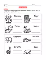 Vista previa - Manualidades / Dibujos para colorear - Worksheet: Wild Animals (Vocabulary) - página 1