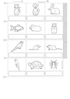 Vista previa - Unidades / Secuencias / Situaciones de Aprendizaje - Inglés - mascotas - diccionario de imágenes - English - Picture dictionary - pets - accordion book - página 3