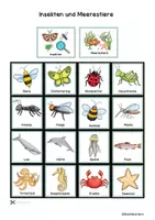 Vorschau - Spiele - Wortschatzerweiterung Oberbegriffe - Seite 2