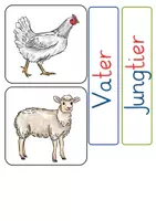 Vorschau - Präsentationen/Tafelbilder - Bauernhof & Tierfamilien: Tafelmaterial - Sachunterricht - Kl. 1/2 - Seite 2