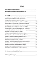 Vorschau - Stundenentwürfe - KA 5. Jg. - Bildergeschichten Vater & Sohn - NEUE VERSION - Seite 3