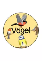 Vorschau - Anderer Materialtyp - Legekreis Vögel - Seite 1