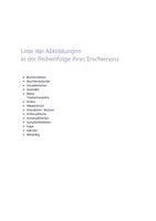 Vorschau - Fördermaterial/Inklusion - Frühblüher - DaZ Wortschatz Frühling - Bildkarten & Wortkarten - DIN A4 - Bild- Wortkarten - Tafelmaterial - Zuordnungskarten - Seite 2