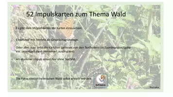 Vorschau - Poster - Impulskarten Wald - Fotos rund um den Wald - Seite 2