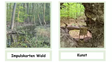 Vorschau - Poster - Impulskarten Wald - Fotos rund um den Wald - Seite 3