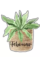 Vorschau - Bildkarten - Geburtstagskalender - Boho Pflanzen - Seite 3