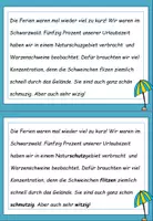 Vorschau - Aufgabenkarten - Sommer: Fehlerteufel Doppelkonsonanten -tz- - Lesekarten - Seite 2