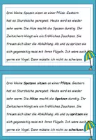 Vorschau - Aufgabenkarten - Sommer: Fehlerteufel Doppelkonsonanten -tz- - Lesekarten - Seite 3