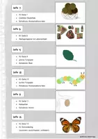 Vorschau - Mal- und Bastelvorlagen - Die kleine Raupe Nimmersatt - Papierbuch Klasse 1 - Seite 3