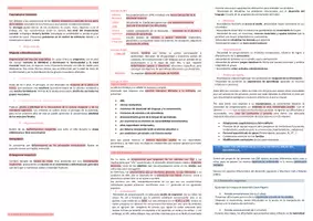 Vista previa - Unidades / Secuencias / Situaciones de Aprendizaje - Oposiciones Pedagogía Terapéutica: esquema tema 18 - página 2