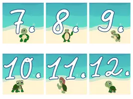 Vorschau - Präsentationen/Tafelbilder - Tafelkalender Schildkröte Schildkrötenklasse #Klassentier - Seite 2