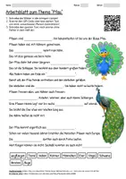 Vorschau - Arbeitsblätter - Arbeitsblatt "Pfau" + Onlineübung & MP3 + - Deckblatt