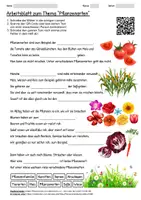 Vorschau - Arbeitsblätter - Arbeitsblatt "Pflanzenarten" + Onlineübung & MP3 + - Deckblatt