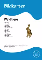 Vorschau - Bildkarten - Bildkarten Deutsch: Waldtiere - Deckblatt