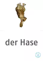 Vorschau - Bildkarten - Bildkarten Deutsch: Waldtiere - Seite 1