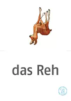 Vorschau - Bildkarten - Bildkarten Deutsch: Waldtiere - Seite 3