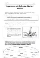 Vorschau - Arbeitsblätter - Plasmolyse - Experimente mit Zwiebeln - Deckblatt