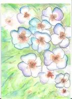 Vorschau - Arbeitsblätter - Blumengrüße, anderen Freude schenken! - Deckblatt