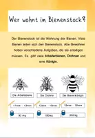 Vorschau - Arbeitsblätter - Biene Erlebnisheft - Seite 2