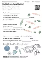 Vorschau - Arbeitsblätter - Arbeitsblatt "Plankton" + Onlineübung & MP3 + Infografik - Deckblatt