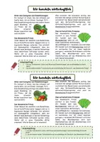 Vorschau - Stundenentwürfe - Das ökonomische Prinzip- Minimal- und Maximalprinzip - Seite 1