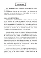 Aperçu - Jeux - Activité : lecture et lapbook sur les tortues. - Page 2