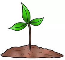 Vorschau - selbst erstellte Cliparts/Grafiken - Growth Mindset Clipart Set 1 - Seite 2