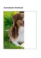 Vorschau - Mal- und Bastelvorlagen - Tiere fertig zeichnen - Seite 1