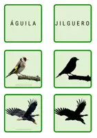 Vista previa - Unidades / Secuencias / Situaciones de Aprendizaje - *Trío de aves - página 2